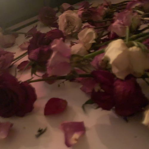 i think it’s going to rain today - tom odell (slowed)