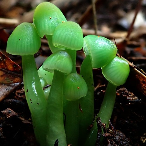 Spada x Estiva x HOSH x Camelphat - Part of Me x Tighter (Lucho Mashup)