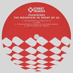 PREMIERE: Passerines - The Mountain In Front Of Us [W&O Street Tracks]