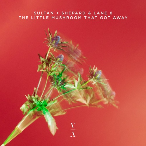 Sultan + Shepard & Lane 8 - The Little Mushroom That Got Away