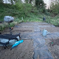 Ballingdon Street Allotments - 20th April 2022