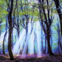 Presagio (ft. Marilina Bertoldi)