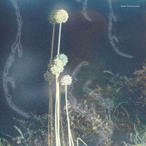 KSR013 - Kaiser - Controcorrente