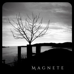 Magnete :: Deserto