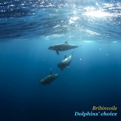 Dolphins'choice