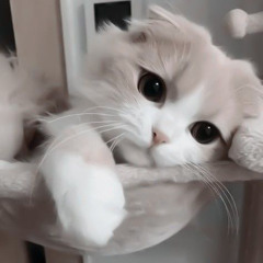 وأنت لمين غير عشاني؟