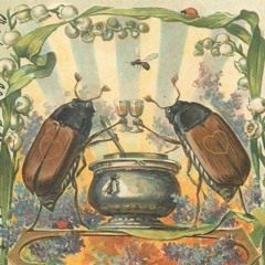 Penelope Scott - Spirit (Live)