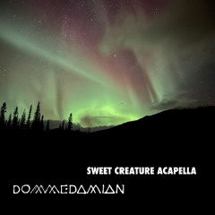 Sweet Creature - Acapella