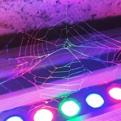 Lil Uzi Vert - Relevant (Song Cover)