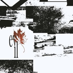 igitcanbeworst (hushinsilence + lunarcollisionn)