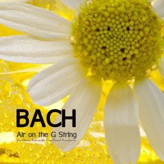 Bach - BWV208