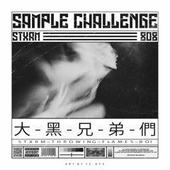 STXRM SAMPLE CHALLENGE (CLOSED) check playlist