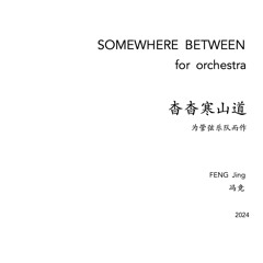 SOMEWHERE BETWEEN  for orchestra
