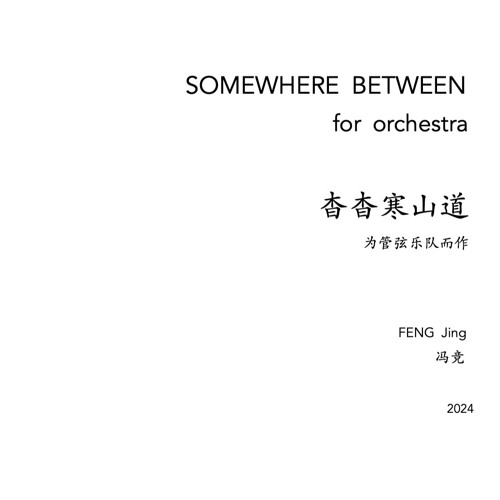 SOMEWHERE BETWEEN  for orchestra