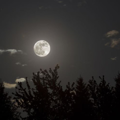 ‎⁨الصمت....من كتاب د_مصطفى محمود⁩.mp3