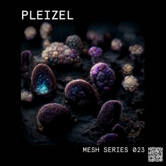 Mesh Mix Series 023: Pleizel