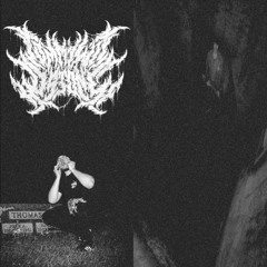 Introduction to Self-Destruction (Prod. Tommy Wit Da Tone)
