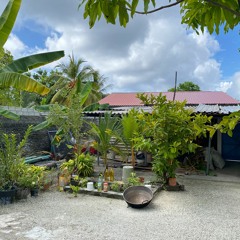 2023/01/08 Weavers Faiza and Waheedha with Rukshana at Gofige, Gadhdhoo - Part 01