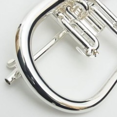flugelhorn under the pillow
