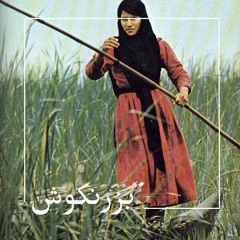 بزرنكوش