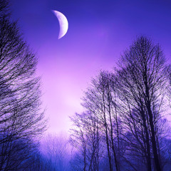 Too Late to Dream