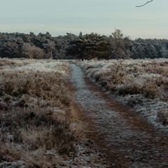 Forest Heath