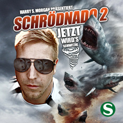 Schrödnado 2 ('Jetzt wird's schwitzig') Mixed by Pete Severano(Birthday present 2019)