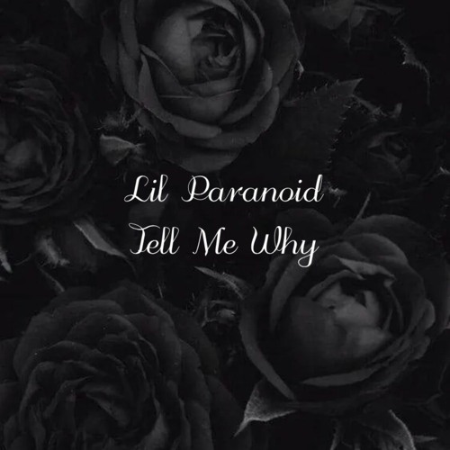 Lil Paranoid - Tell Me Why