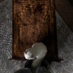 Surah Al-Anbiya 64 - 69 | Bilal Zaid