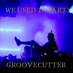 We Used To Party