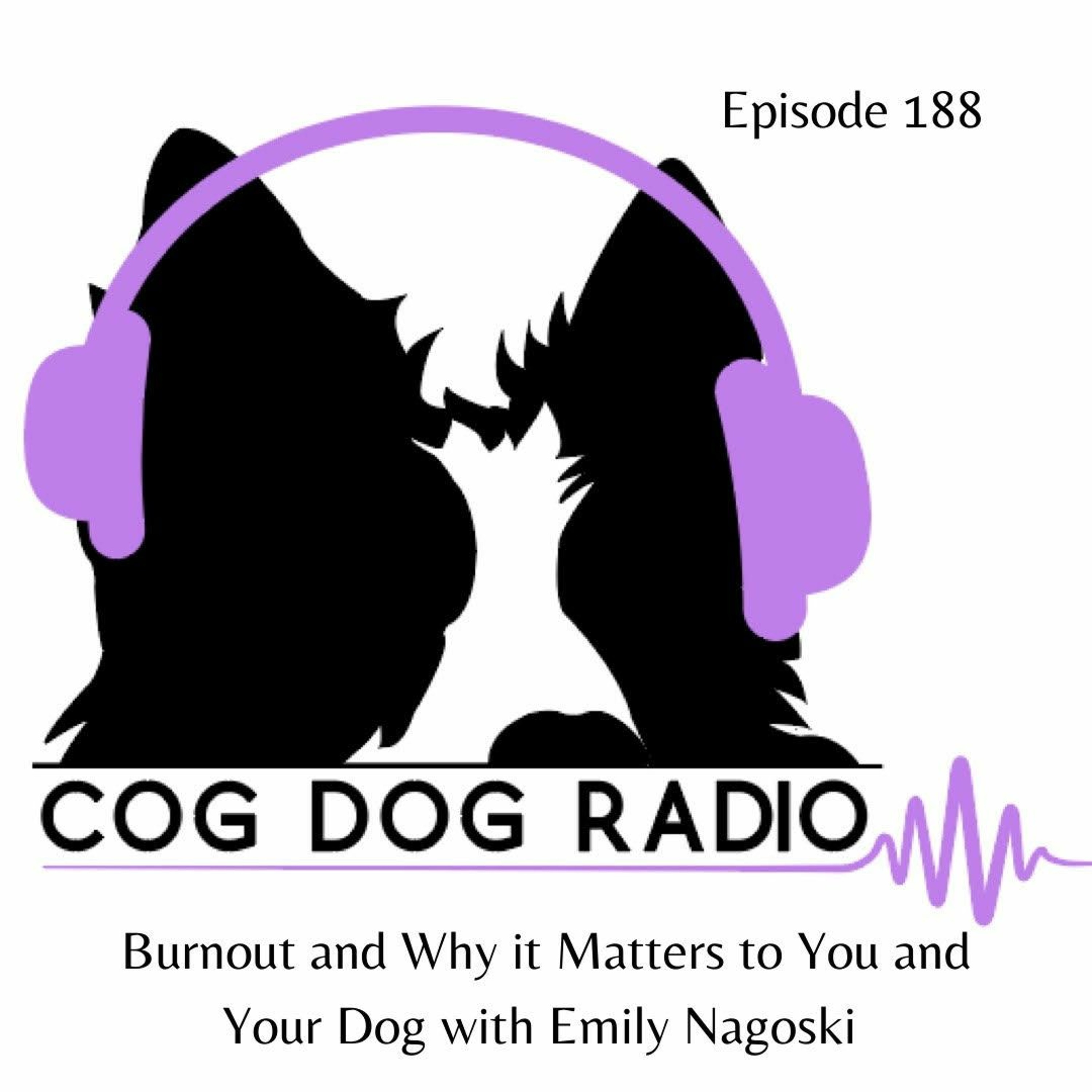 Burnout and Why it Matters to You and Your Dog with Emily Nagoski