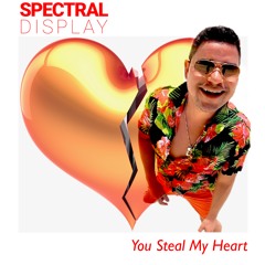 You Steal My Heart (Radio Edit) - Spectral Display