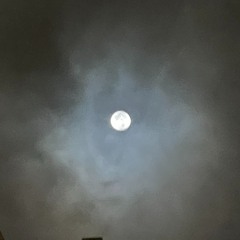 Kehlani Jungle-jersey Edit