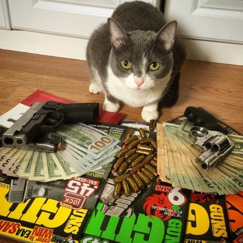 eeeeeh eeh eh eh eh stumble guys song meme tiktok