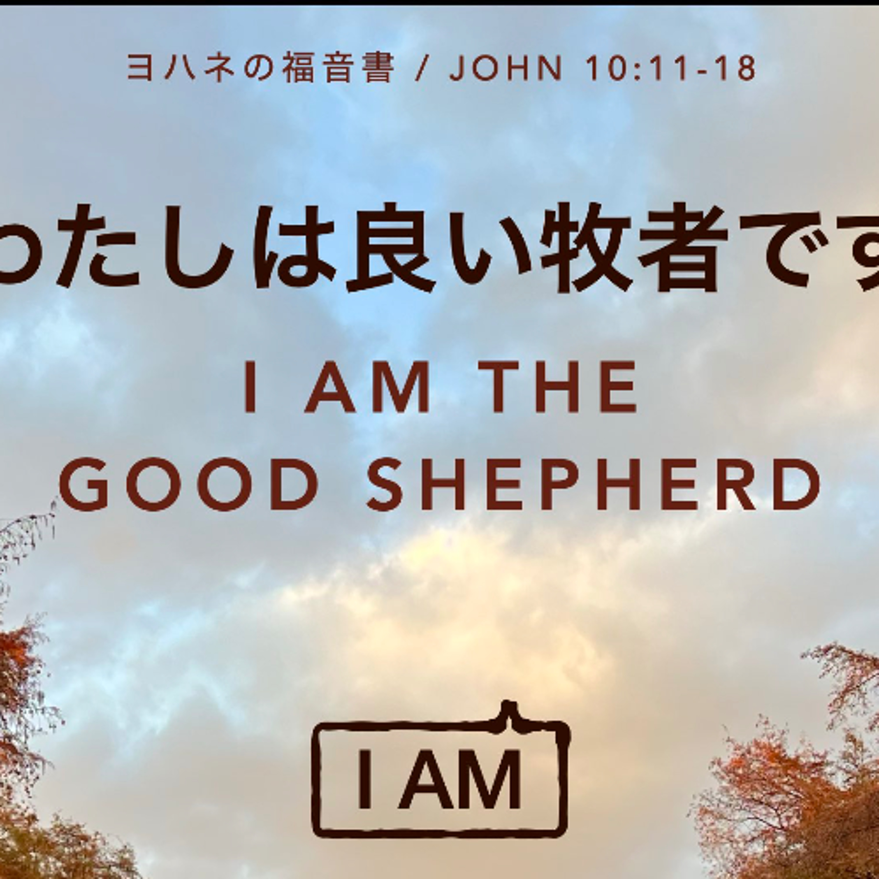 ヨハネの福音書 / JOHN 10:11-18 わたしは良い牧者です I Am the Good Shepherd episode artwork