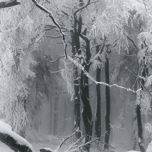 Once Upon a December (Instrumental)