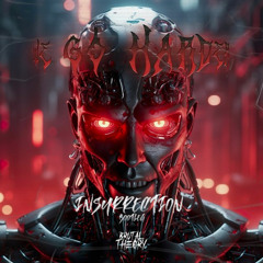 Brutal Theory - WE GO HARDER (INSURRECTION BOOTLEG)