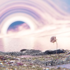 Decay