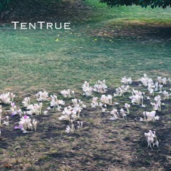 Dreams (Cranberries)