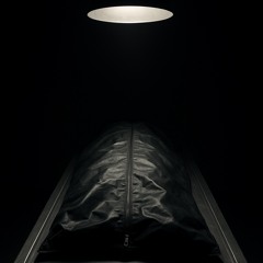 Cold Lights, Quiet Rooms