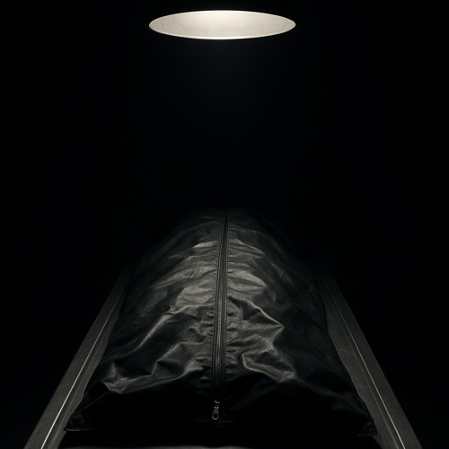 Cold Lights, Quiet Rooms