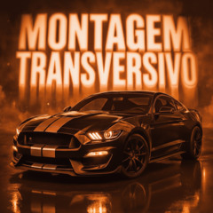 MONTAGEM TRANSVERSIVO SPED UP - IUYUI