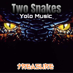 2 Snakes-YOLO Music(TREASURE Mashup)