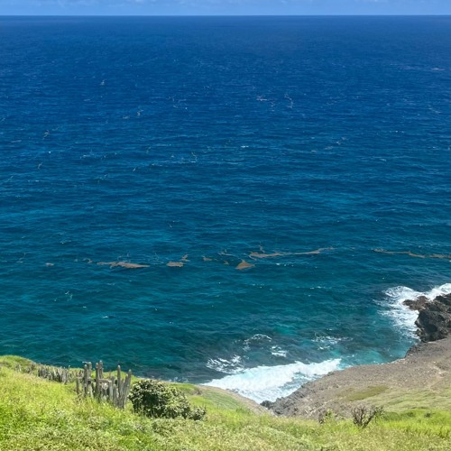 reminiscing (prod. bartek)