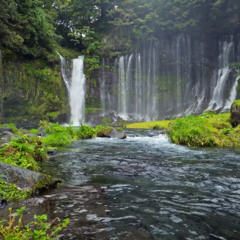 BNWO - I Know Your Secret White Boy [Part 2] (TEASER)