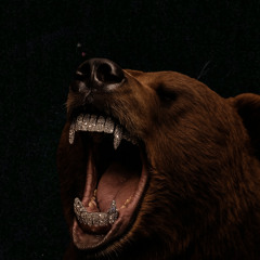 I GOT HATERS I GOT FANS - BLACKPOWS -