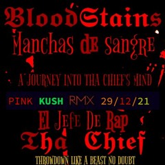 BLOODSTAINS - THA CHIEF (DJ MASLOCO Remix)