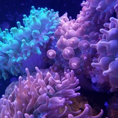 海底に向かう途中