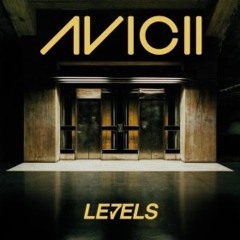 Avicii - Levels (Tribute Concert Remake)