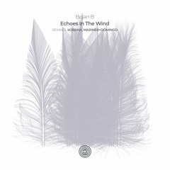 Bojan B - Echoes In The Wind (Mariner + Domingo Remix)